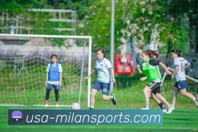 米兰官网平台生态图